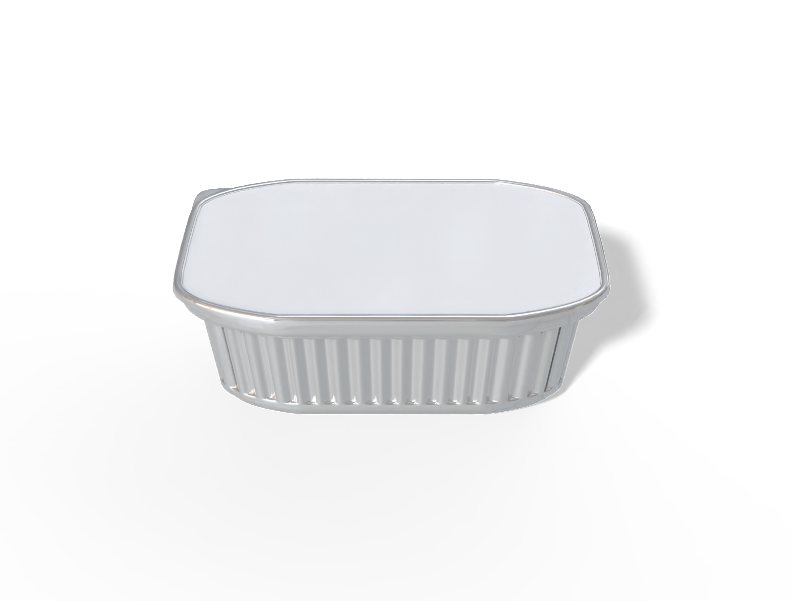 Food container — Glossy plastic