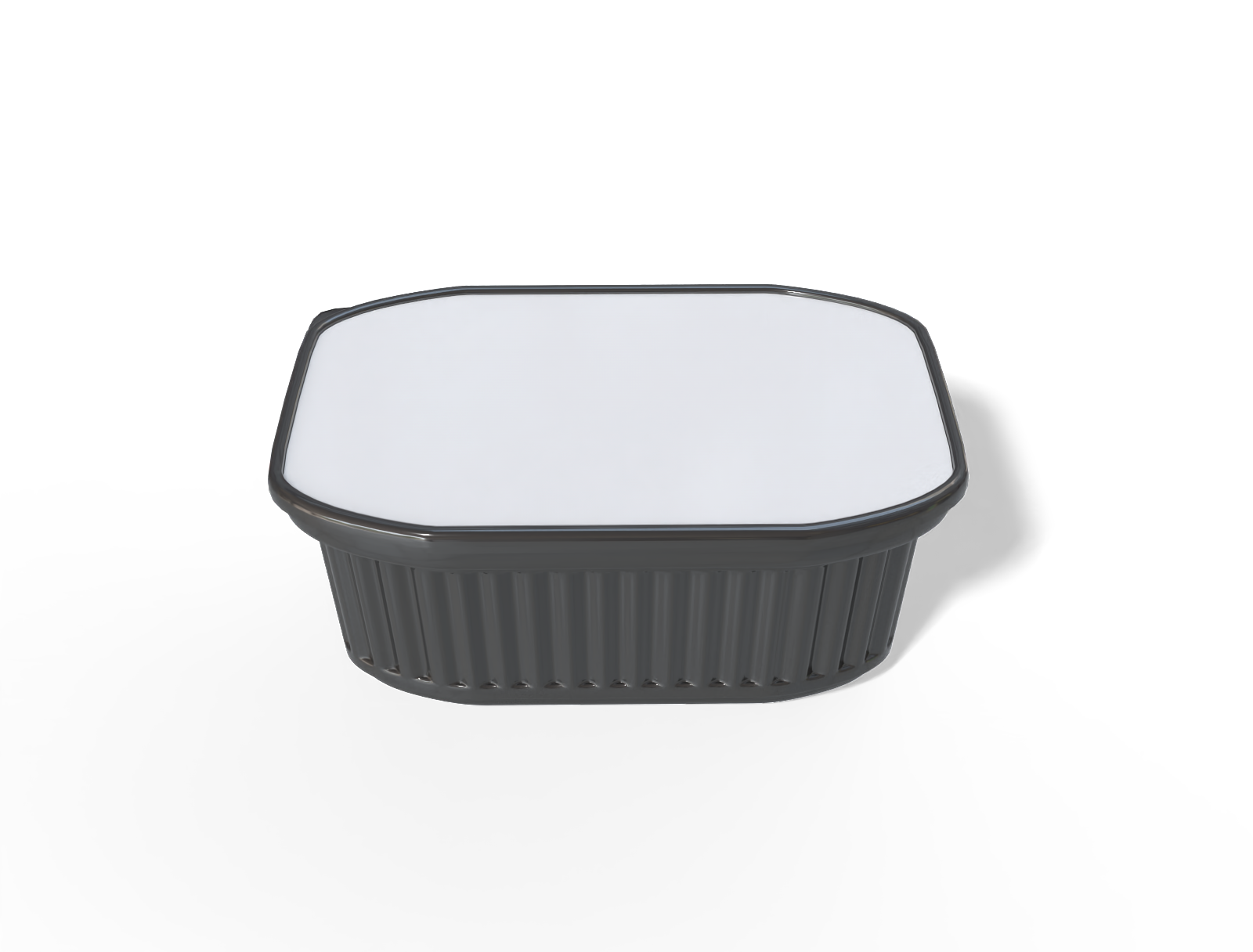 Plastic box food container — Glossy plastic