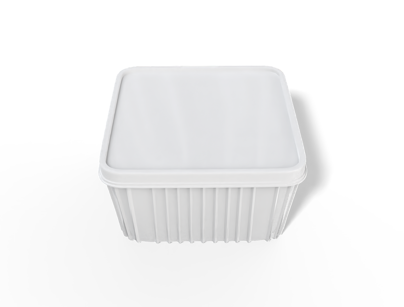 Plastic food box — Glossy plastic