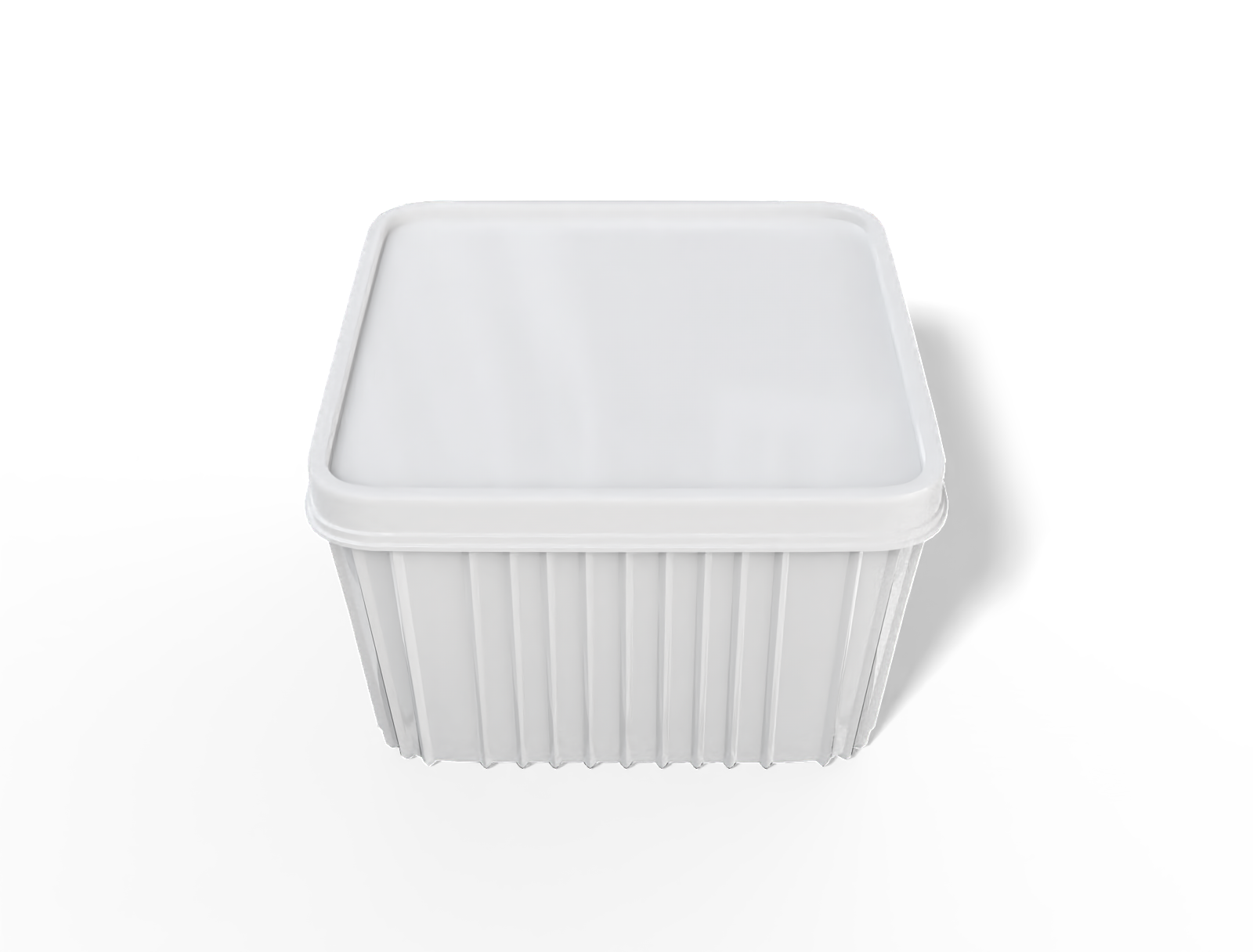 Large plastic food box — Glossy plastic