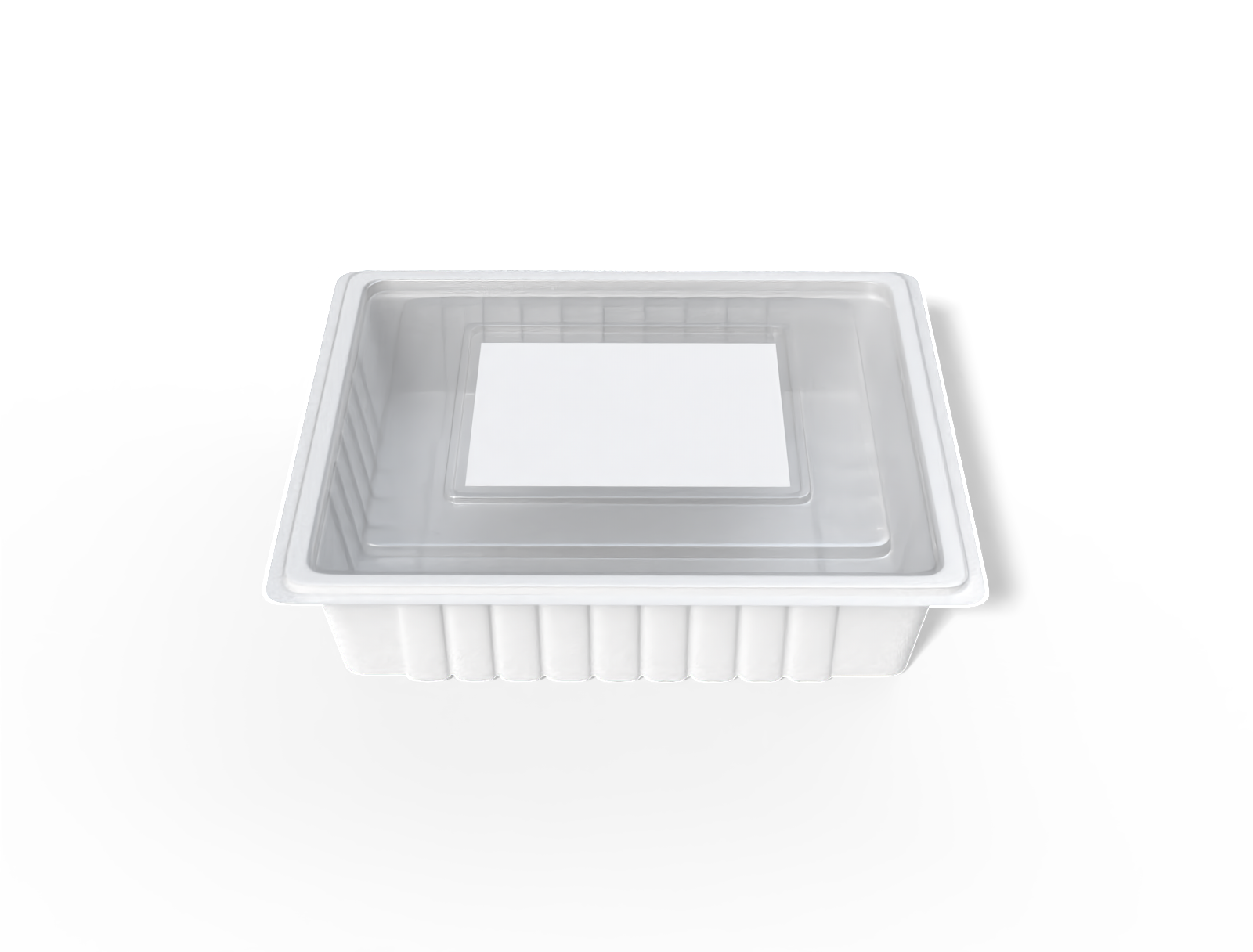 Plastic food container — Glossy plastic