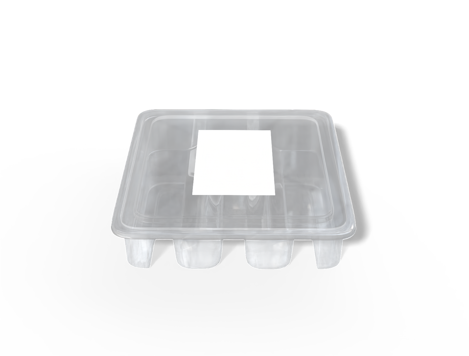 Plastic cake box — Clear glossy plastic