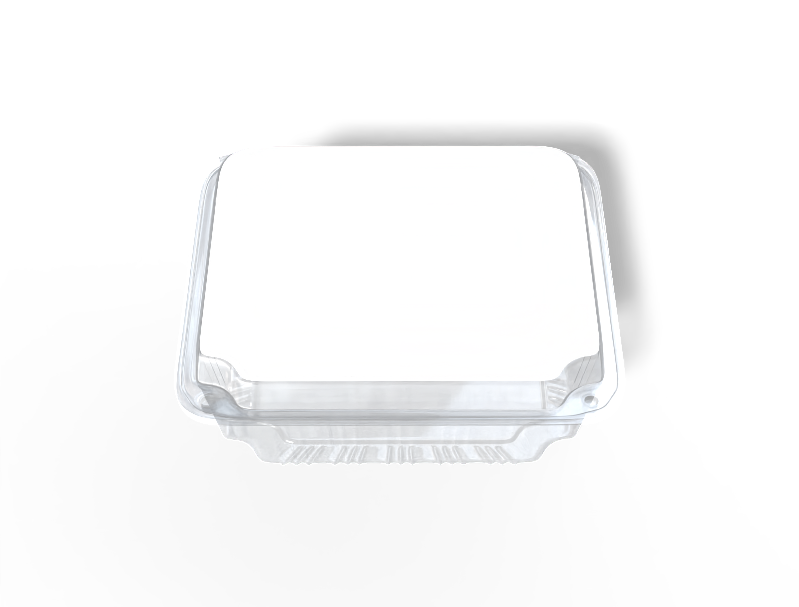 Transparent plastic food box — Clear glossy plastic