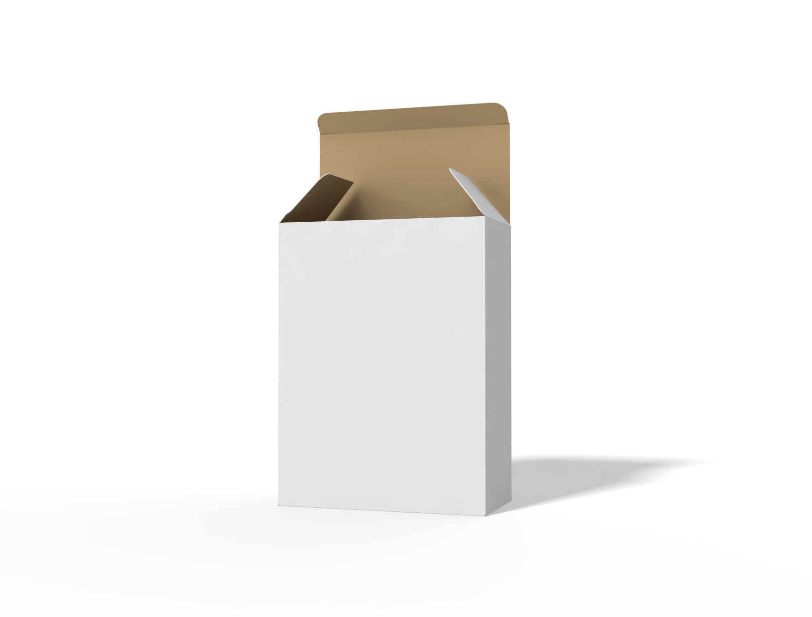 Tuck end mailer box packaging — White paperboard