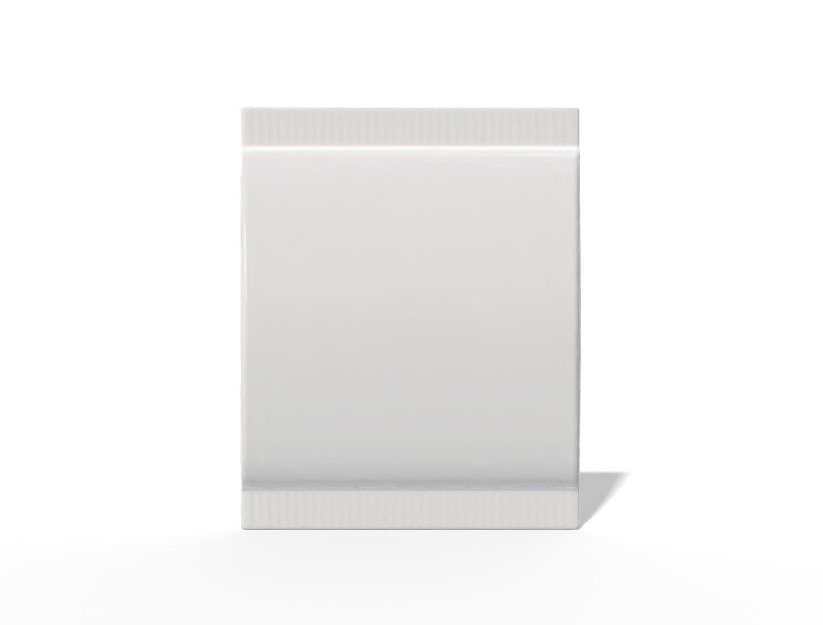 8 × 10 back-seal tea sachet — Glossy plastic