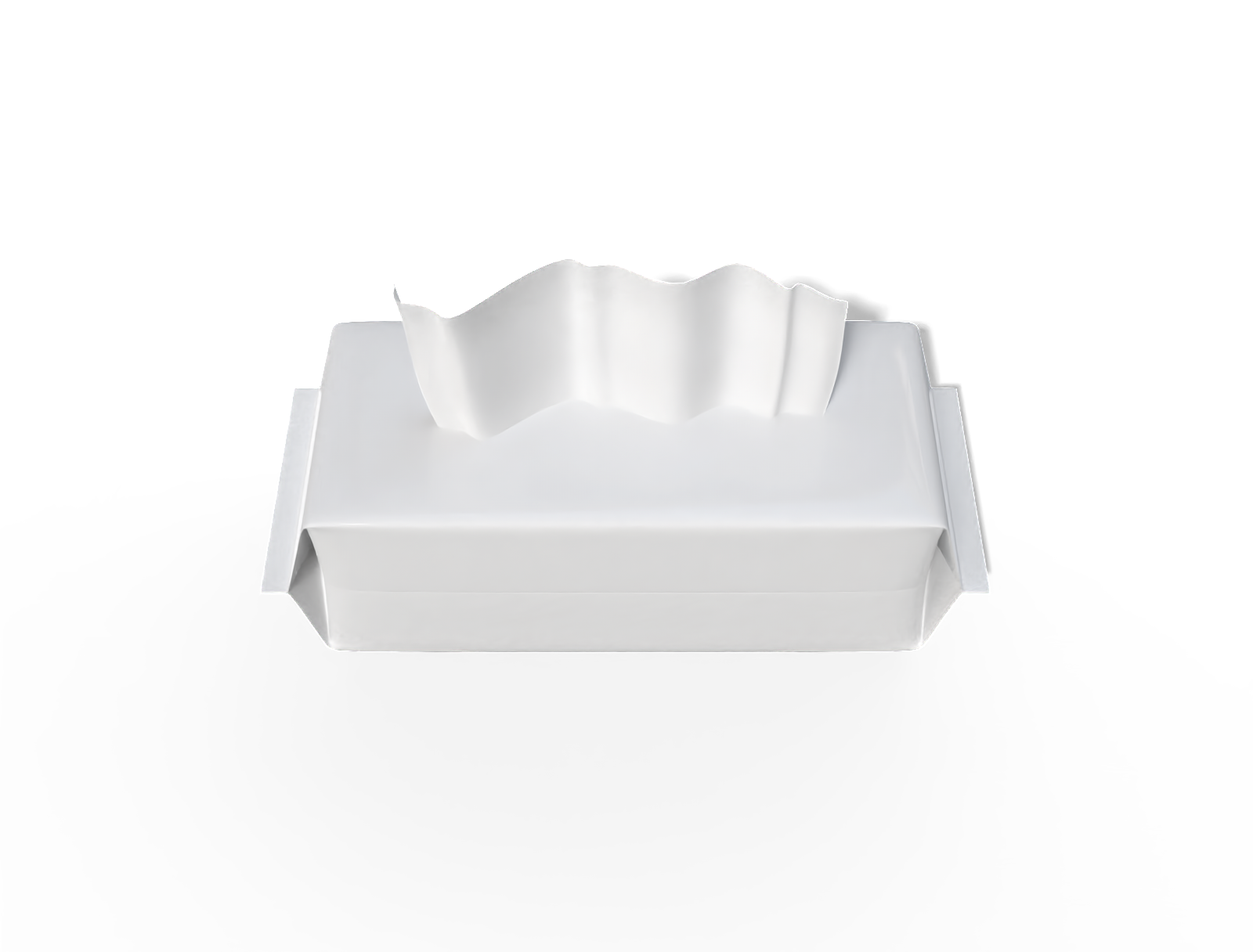 20 × 10 × 7 wet wipes pouch — Glossy plastic