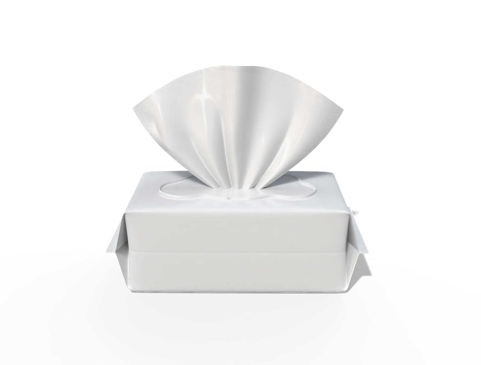 17 × 10 × 7 wet wipes pouch — Glossy plastic