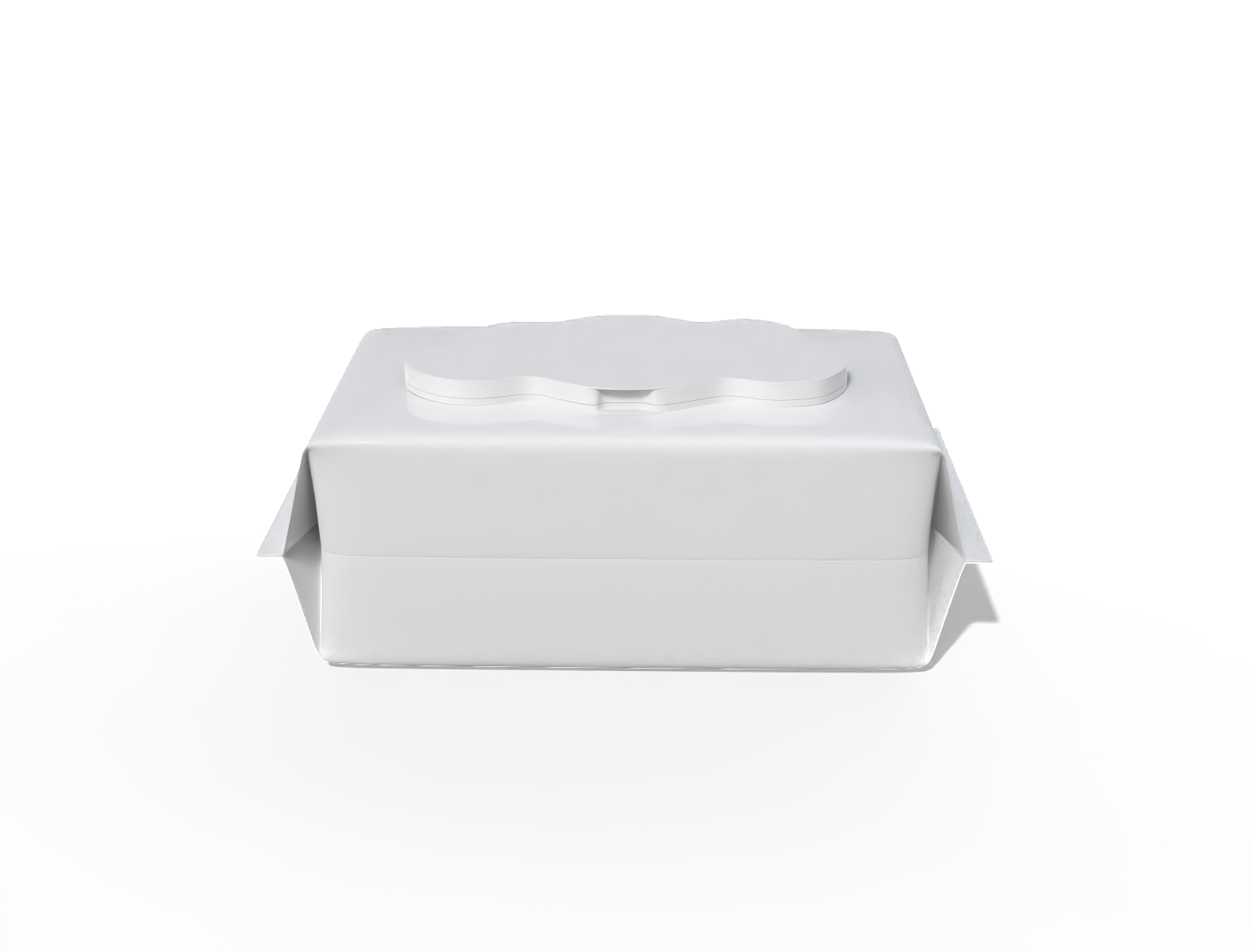 17 × 10 × 7 wet wipes pouch — Glossy plastic