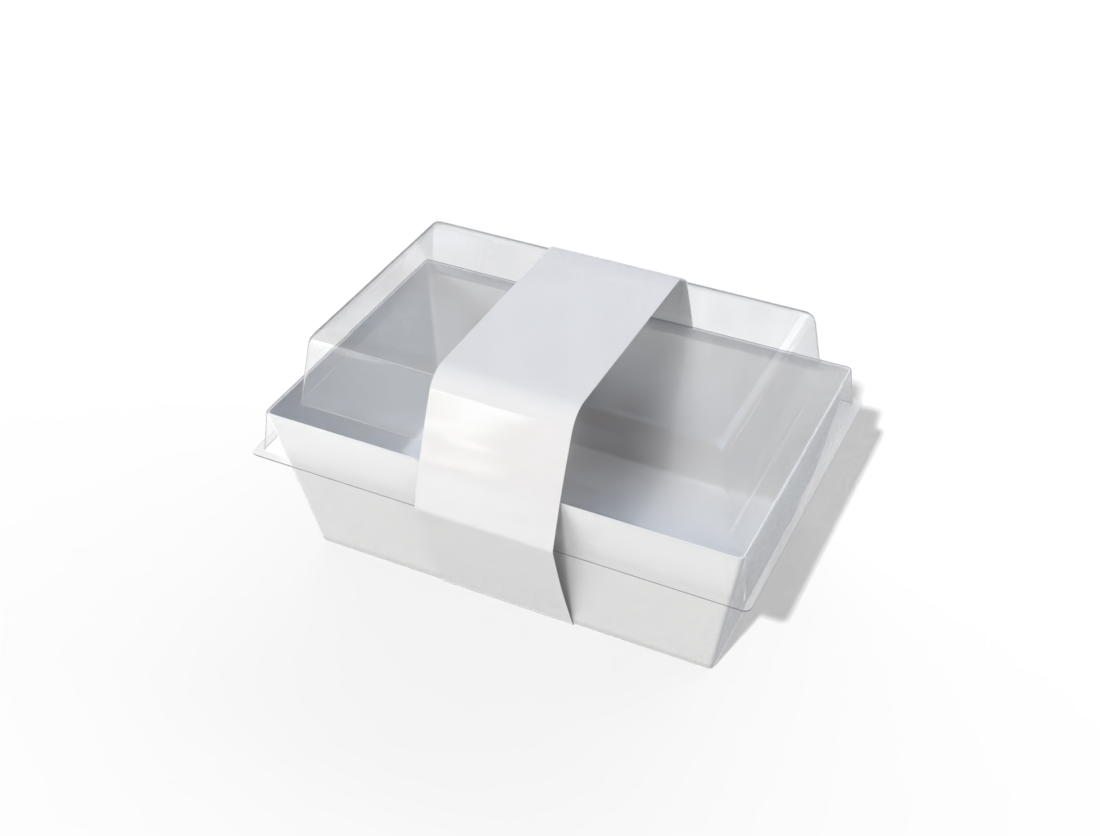 Plastic burger box — Clear glossy plastic