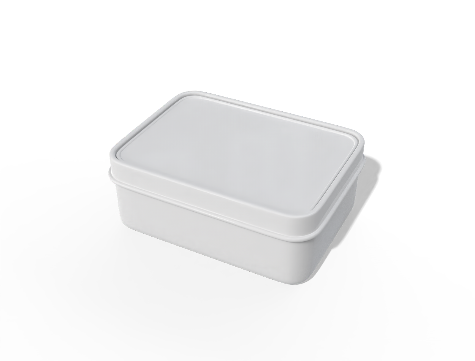 Plastic lunch box with lid — Glossy plastic